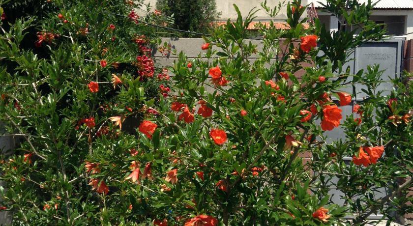 Гостевой дом Guesthouse Khudozhnikov 9 Судак-9