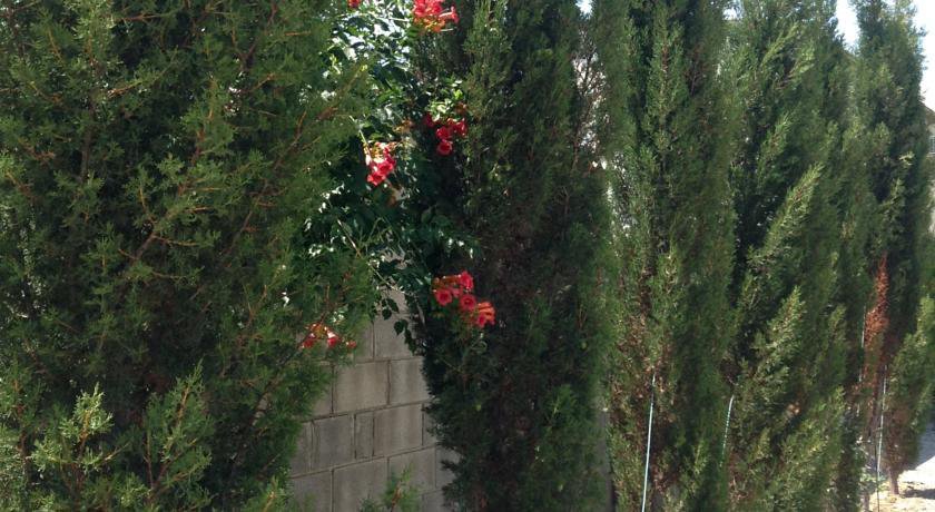 Гостевой дом Guesthouse Khudozhnikov 9 Судак-11