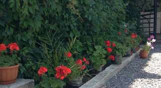 Гостевой дом Guesthouse Khudozhnikov 9 Судак-4