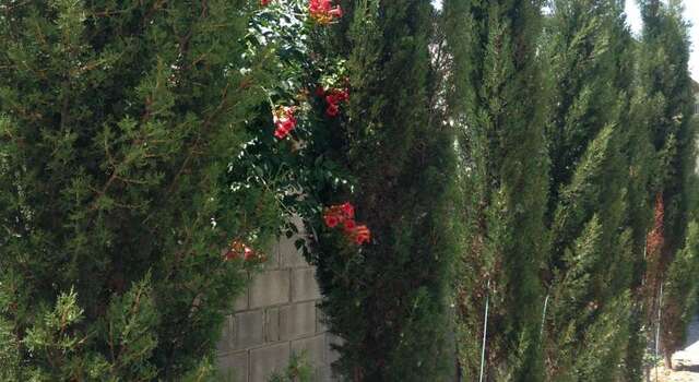 Гостевой дом Guesthouse Khudozhnikov 9 Судак-10